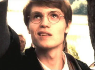 En quoi James Potter se transformait-il et quel était son surnom ?