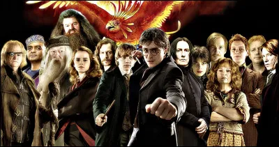 Comment s'appelle la communauté des sorciers qui se réunit pour lutter contre Vous-Savez-Qui ?