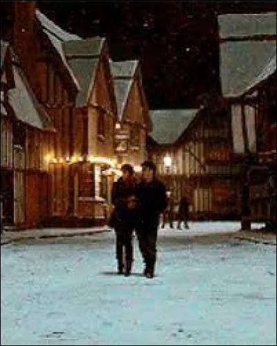 Dans HP 7 partie 1, où vont Harry et Hermione après que Ron soit parti ?