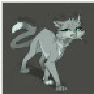 Qui suis-je ? (Cycle 6)