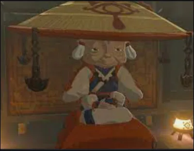 Et enfin, comment s'appelle le village où Dame Impa réside ?