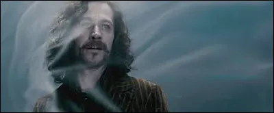 Qui a tué Sirius Black, le parrain de Harry Potter, lors d'un combat ?