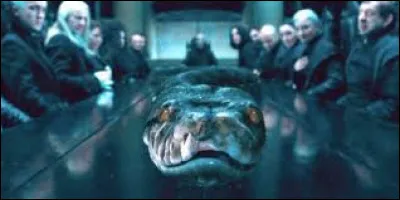 Quelle femme Maledictus accompagne Voldemort sous la forme d'un serpent ?