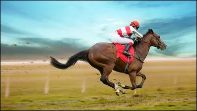Peut-on savoir sur quel pied galope ce cheval ?