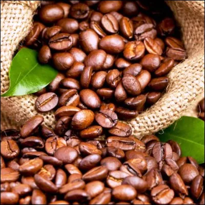 Lequel de ces desserts au caf&eacute; a pour base une g&eacute;noise ?