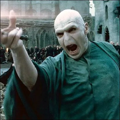 Quel acteur incarne le r&ocirc;le de Lord Voldemort dans la saga "Harry Potter" ?
