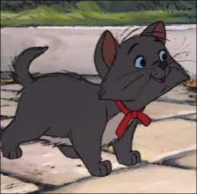 Comment s'appelle-t-il ?