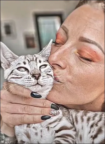 Comment s'appelle le chat de Roxane ?