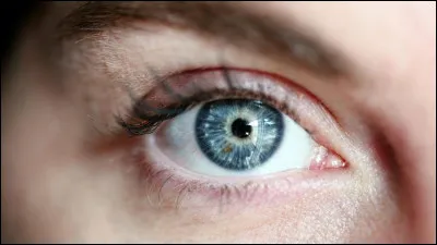 De quelles couleurs sont ses yeux ?