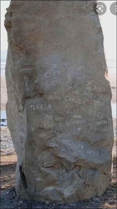 Qui inscrit le nom de Newt sur la pierre ?