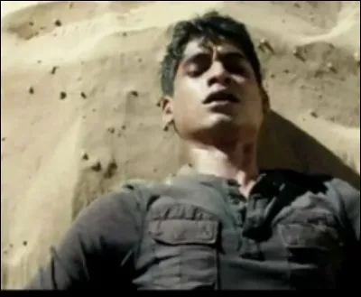 Dans Le Labyrinthe, La Terre brûlée, comment Winston atteint de la braise meurt-il ?