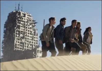 Que fait le groupe qui a survécu au Labyrinthe dans ''La Terre brûlée'' ?