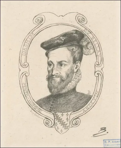 En quelle année fut publié le recueil "Les Regrets" de Joachim du Bellay ?