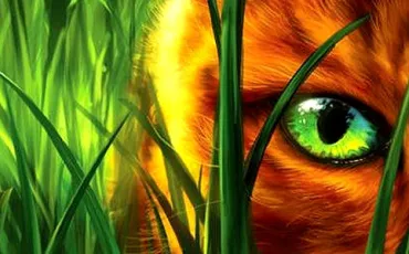 Quiz Erin hunter