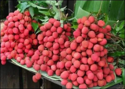 Quelle est la bonne prononciation de ce fruit ?