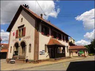 Je vous propose de rester dans le Grand-Est et de partir à Ringendorf. Commune de l'arrondissement de Saverne, elle se situe dans le département ...