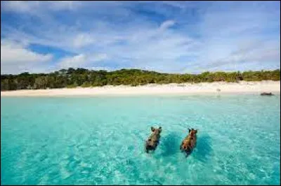 Quelle est la capitale des Bahamas ?
