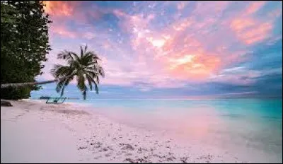 Quelle est la langue officielle de ce pays ?