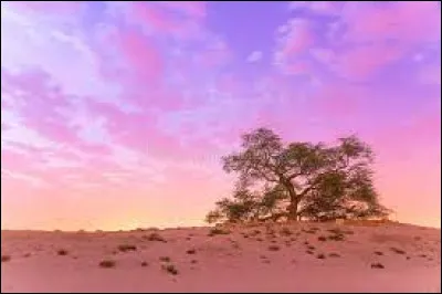 Quelle est la monnaie de ce pays ?