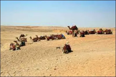 Quel pourcentage du territoire les déserts représentent-ils ?