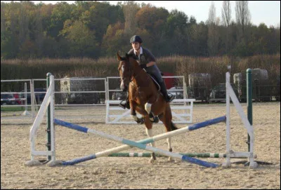 Quel est cet obstacle ?