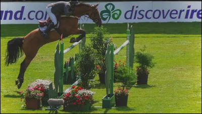 Quel est cet obstacle ?