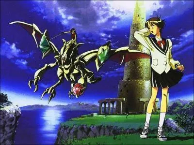 A quel anime appartiennent-ils?