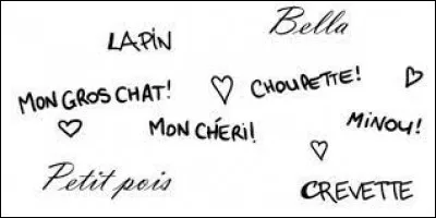 Il est surnommé "Satch".