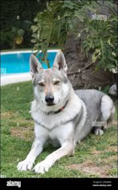 Comment l'appelle-t-on ?