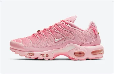 Quel est le nom de cette chaussure ?