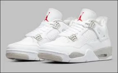 Quel est le nom de cette paire de chaussures ?