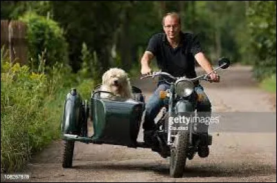 Qu'est ce qui est blanc pour John Galsworthy, en 1933 ?