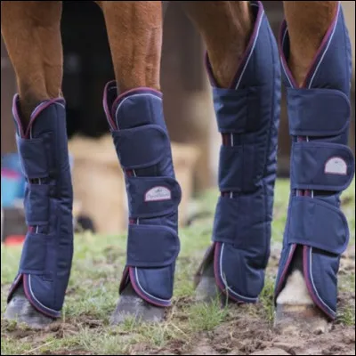 Quelle est cette protection ?