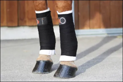 Quelle est cette protection ?