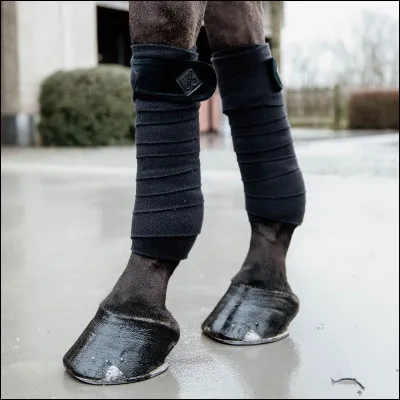 Quelle est cette protection ?