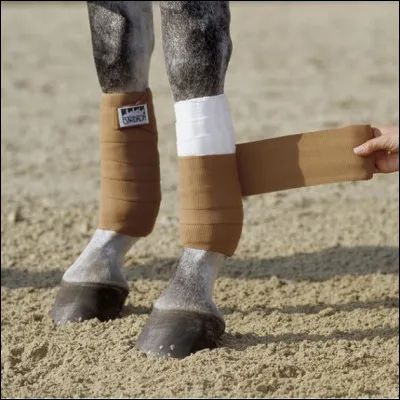 Quelle est cette protection ?