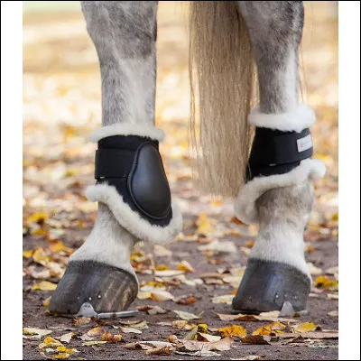 Quelle est cette protection ?