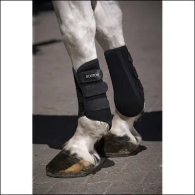 Quelle est cette protection ?