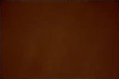 Comment dit-on "marron" en portugais ?