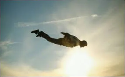 Lequel de ces mammifères a la capacité de voler ?