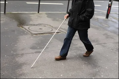 Qui a perdu la vue ?