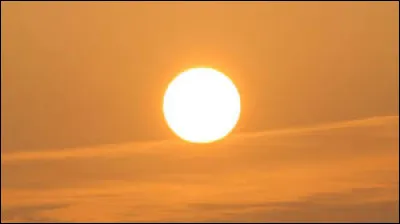 Ta matière préférée à l'école est...