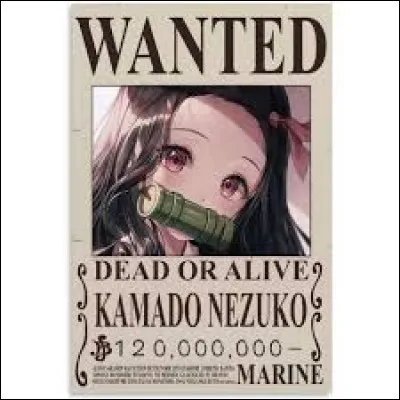 Quel est son nom de famille ?