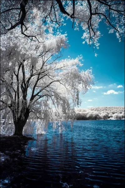 Est-ce que ta couleur est dans cette image ?