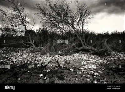 Est-ce que ta couleur est dans cette image ?