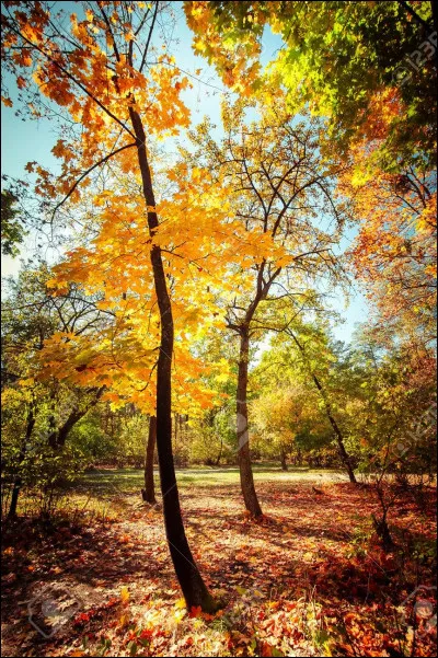 Est-ce que ta couleur est dans cette image ?