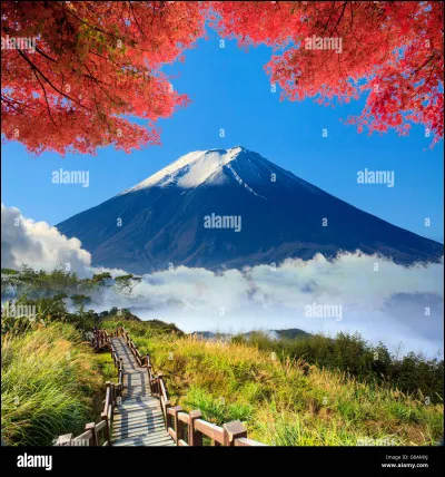 Est-ce que ta couleur est dans cette image ?