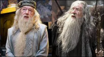 Préfères-tu Gandalf ou Dumbledore ?