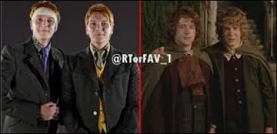 Préfères-tu Fred et George ou Pippin et Merry ?