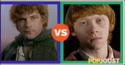 Préfères-tu Sam ou Ron ?